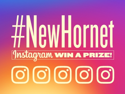 New Hornet