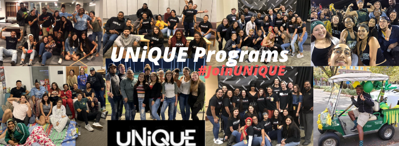 How to Volunteer with UNIQUE Programs